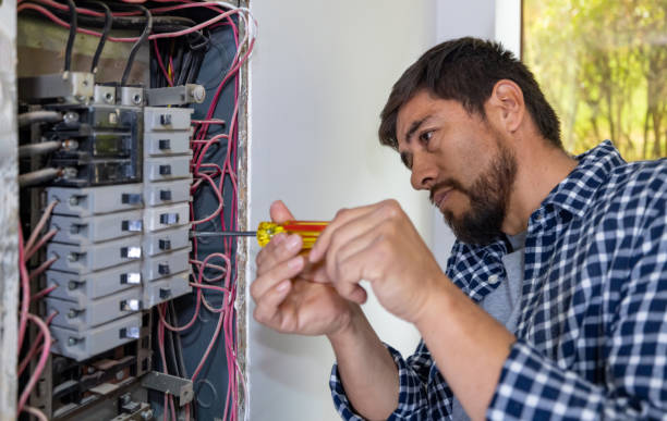Best Electric Panel Repair  in St Augustine, FL